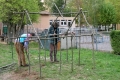 GRAT_fscience_cabane1
