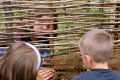 GRAT_fscience_cabane4