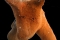 fig03