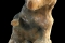 fig04