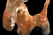 fig07