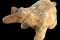 fig10