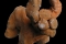 fig13