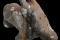 fig15