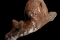 fig26