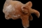 fig32