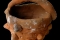 pot04_CM1G