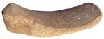 meule en grès - Néolithique (Marnay) – L. env. 50 cm