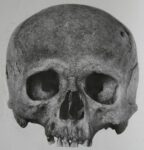 crâne humain (Four-de-la-Baume)
