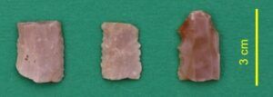 GRAT 2022 fragments de lames Bois Bouillard
