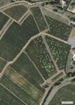 GRAT 2022 semis de silex à La Herse